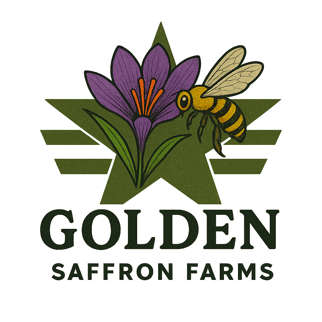 imgi_1_logo-BKIY6FE_